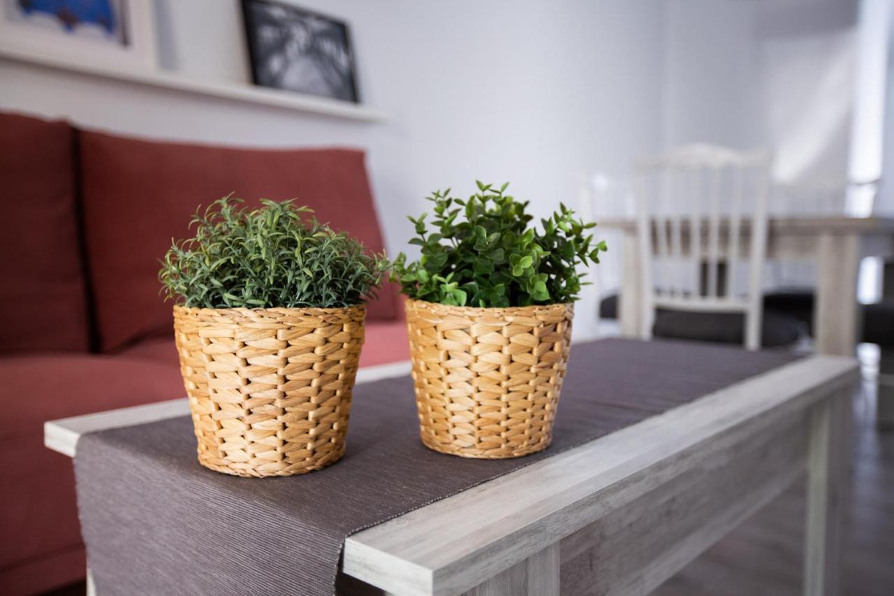 Apartamento Turistico Mis Rayitos Κόρδοβα Εξωτερικό φωτογραφία